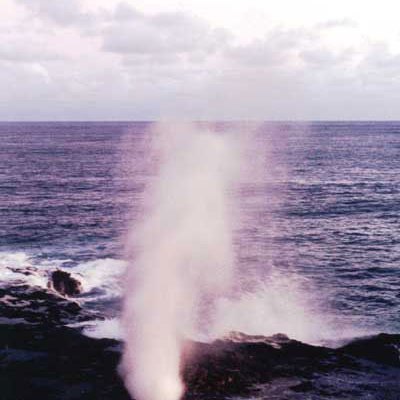 Hawaiian Black Lava Sea Salt Hawaiian Black Lava Sea Salt