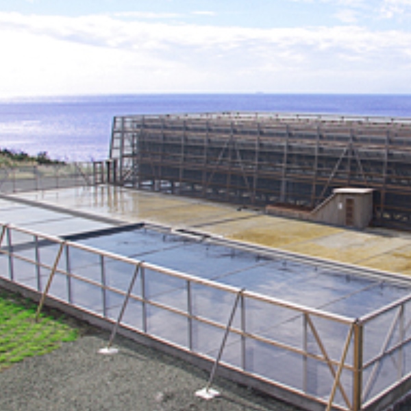 Oshima Island Ara Shio Dry Oshima Island Ara Shio Dry